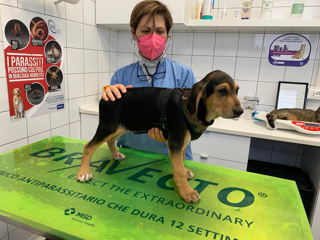 6D749905-984A-4EFC-B3DB-4054EBB7537D