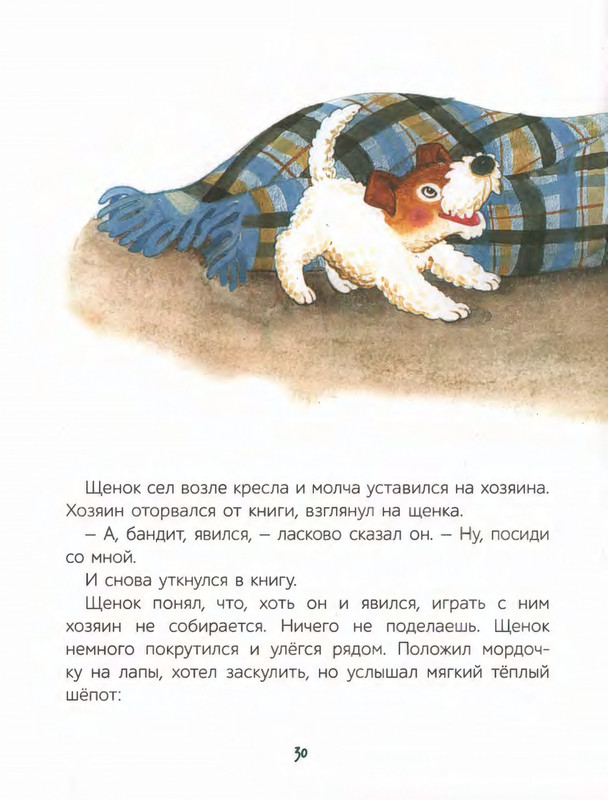 2022-page-0031