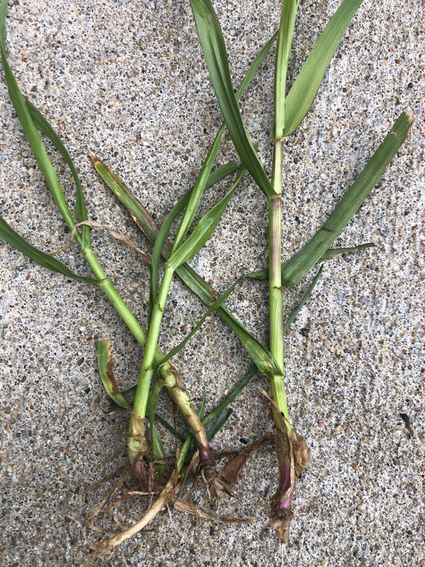 0F280D47-D60C-4BF9-A9A4-49FA63C97BCC