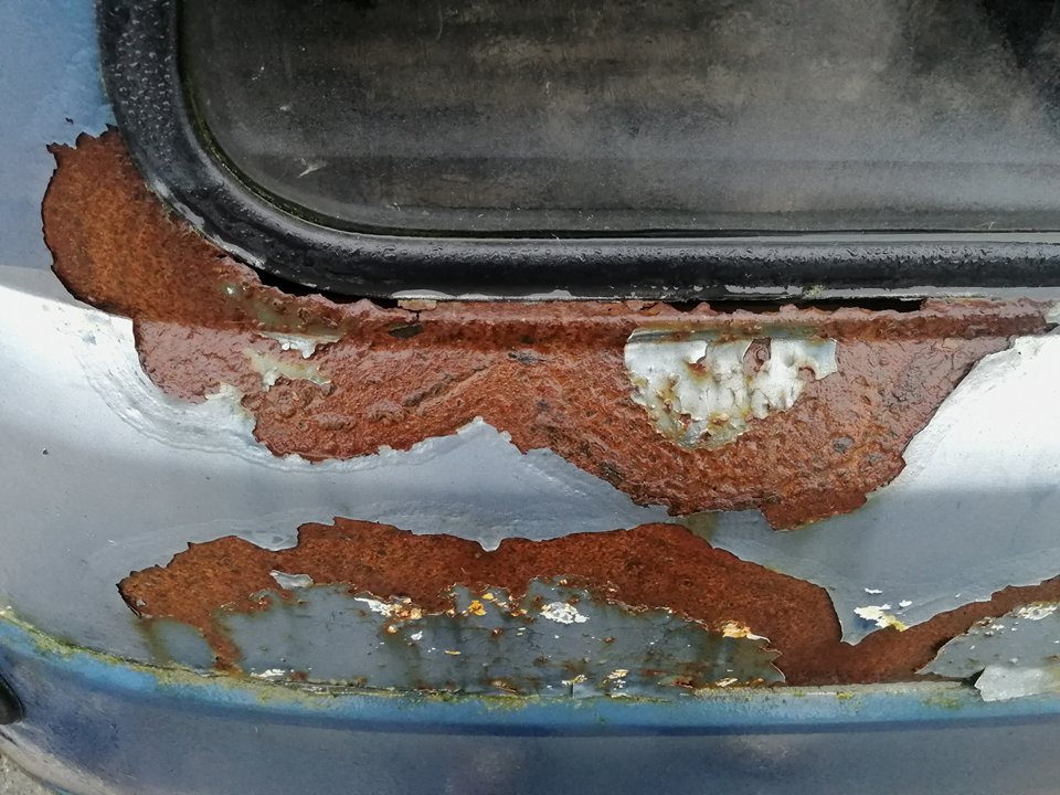 27042652_10215251552264722_113759554_n