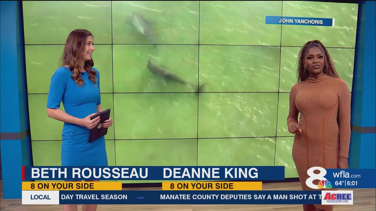 NewsChannel 8 Today at 6a_20241227_11001200.ts_snapshot_01.41.041