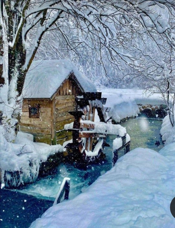 Screenshot_20231211_175944_Pinterest