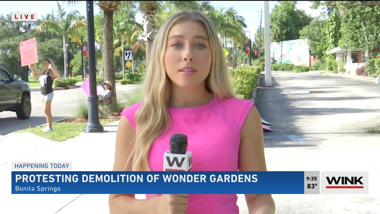 WINK News at 9 00 a.m. 2022_07_30_14_00_00.ts_snapshot_00.38.43.266