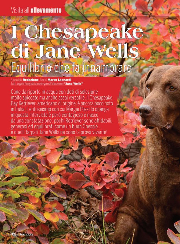 Il M C Lug-Ago 2022 (1)