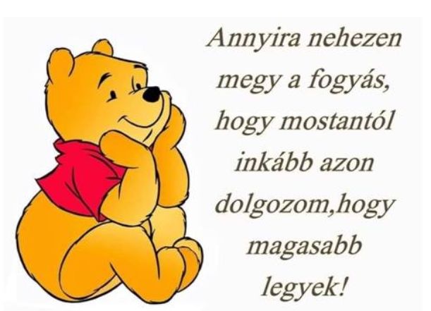 https://i.postimg.cc/Xqh9CmB1/annyira-nehezenmegy.jpg