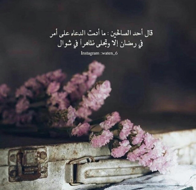 497F9F83-E3A8-4AA3-B38B-5C4BD07EF850