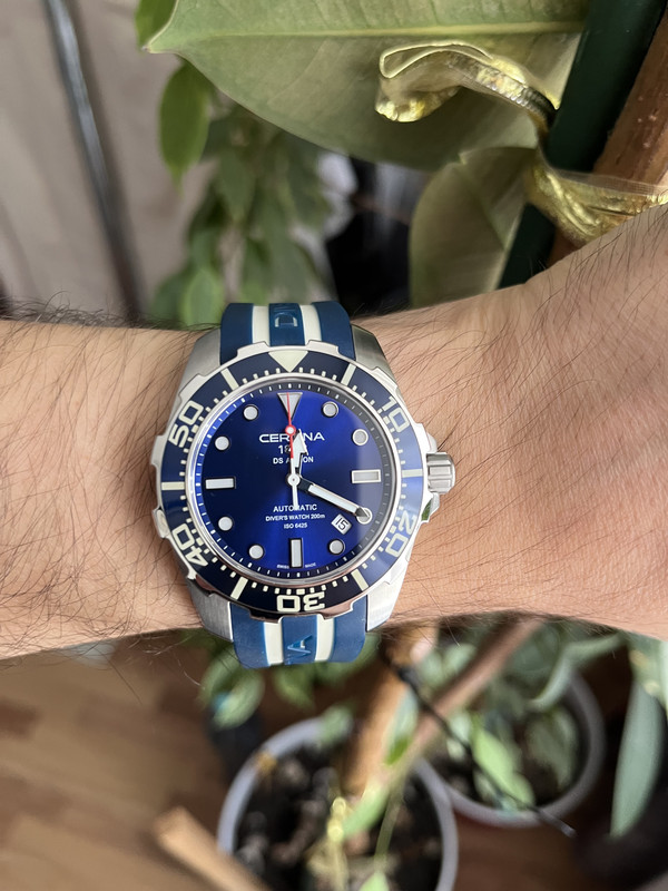 6F97081B-B655-422B-948C-40FF31552E5B