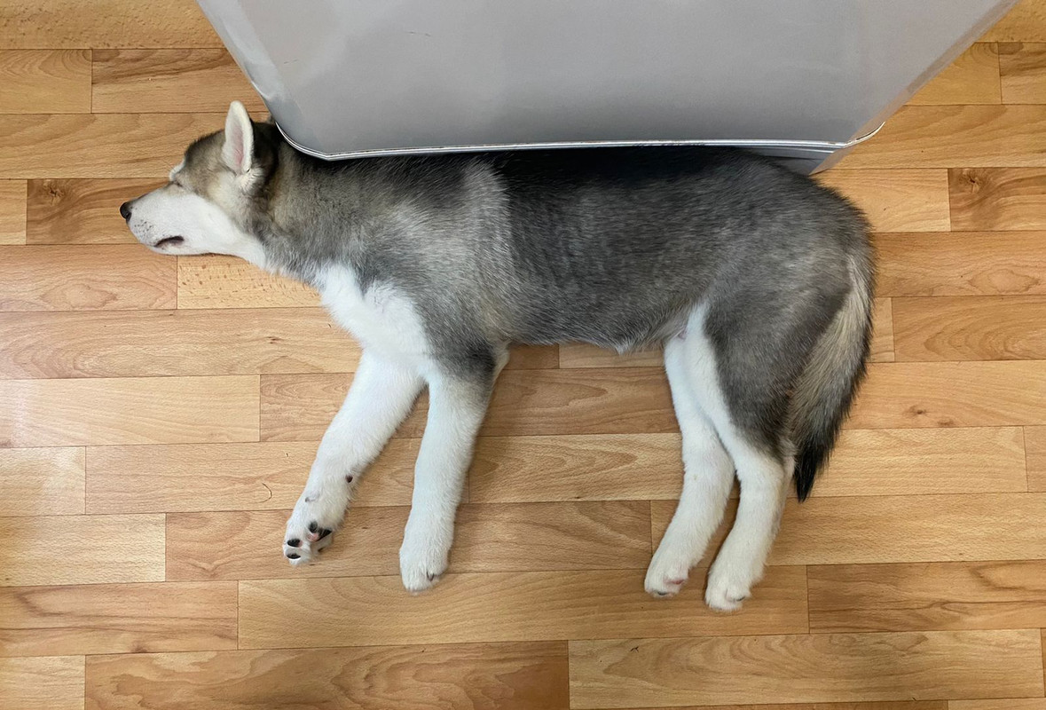 103EB2CC-18A5-4456-80E7-242CE34CA1C5