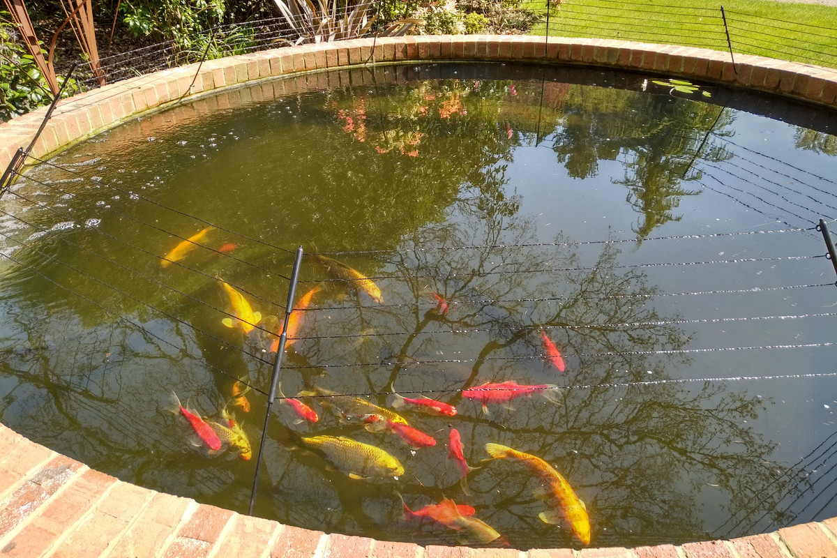 IMG_20180422_1353083