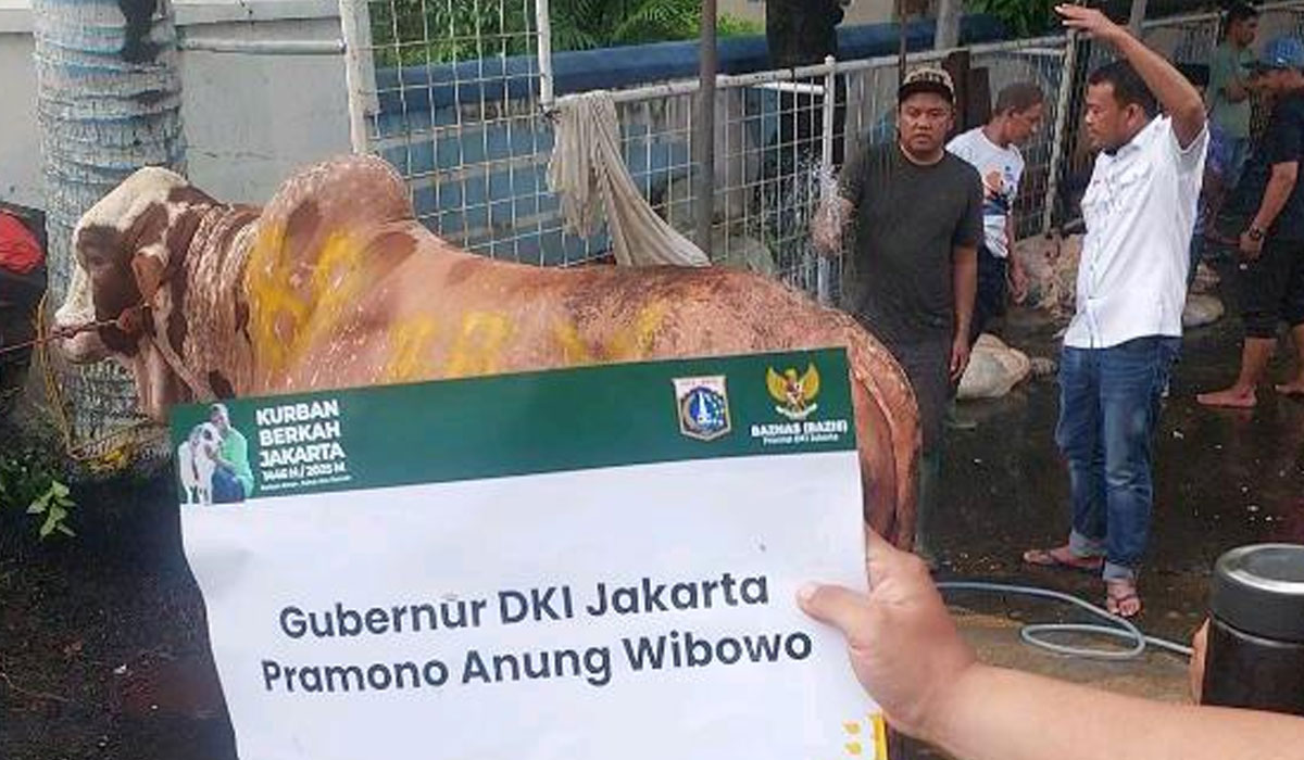 Peran Posko Haji Lulung Dalam Memelihara Tradisi Kurban