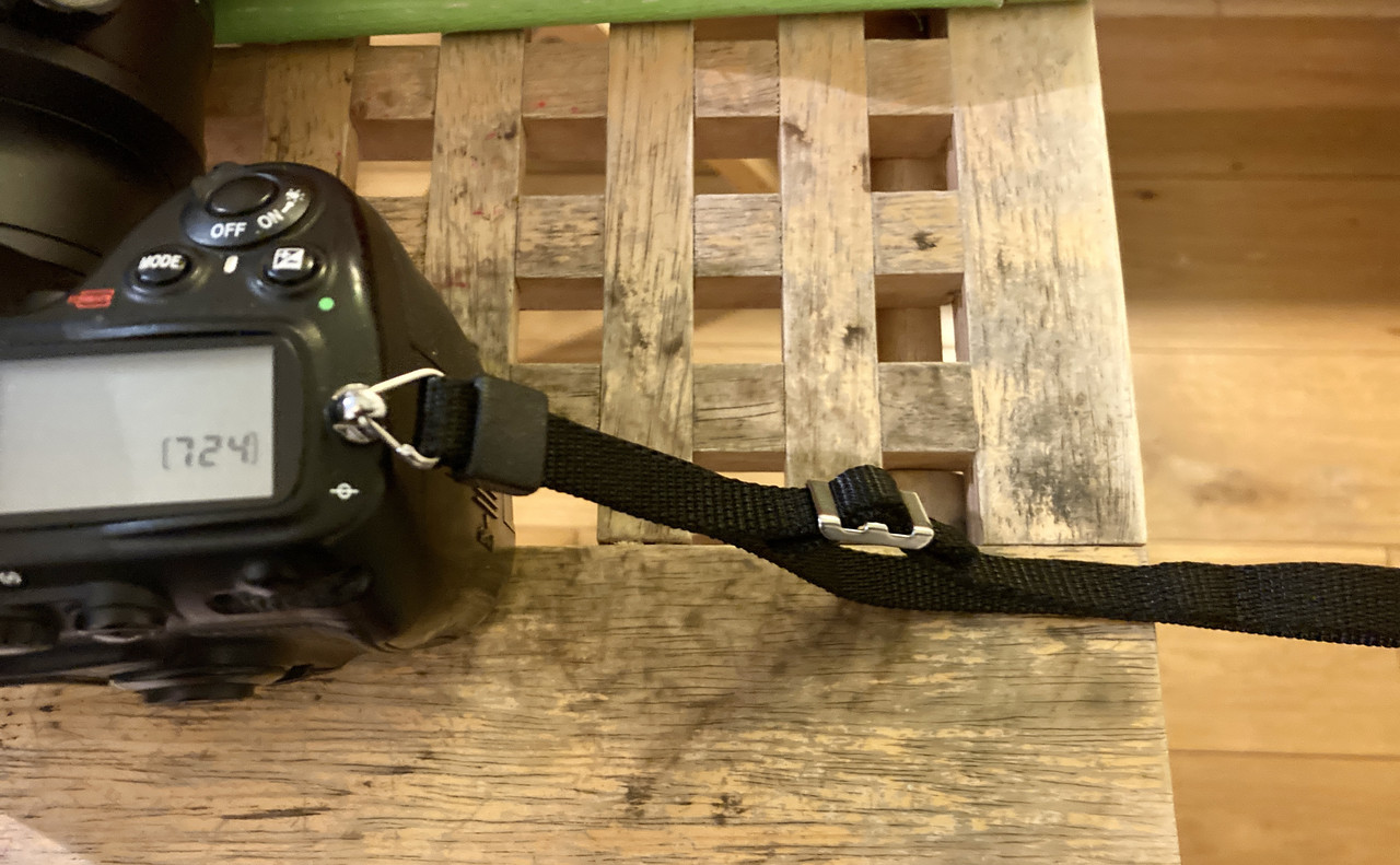 3499917F-0334-4CEB-9E81-B2EAE0FC75F7