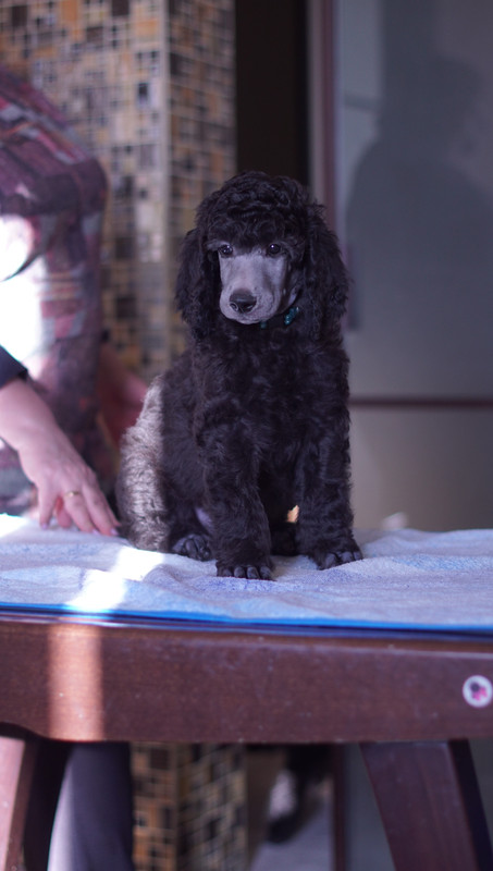 E2F97F8F-2D28-4A1E-80C0-7992B7E06EC6