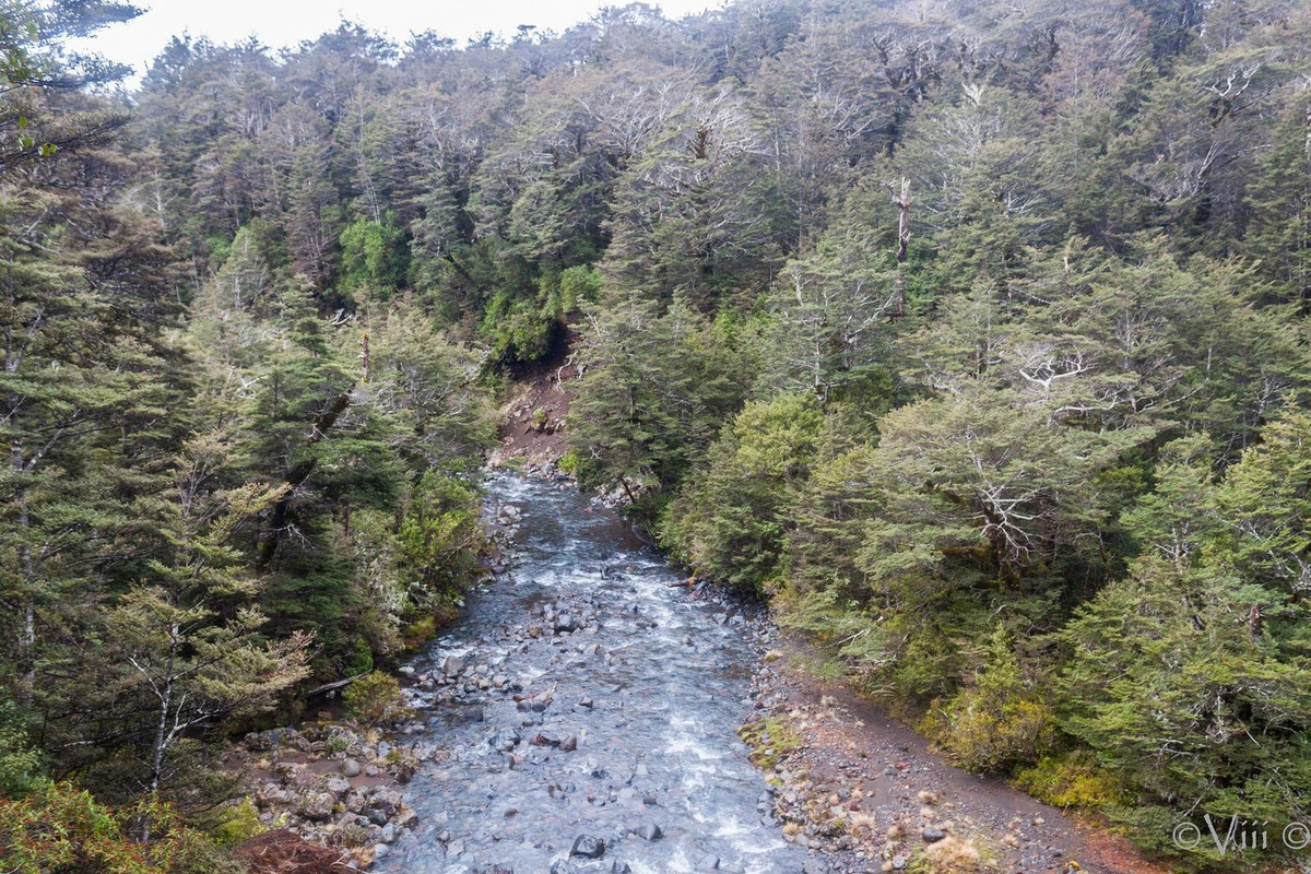 Día 5. Taranaki Falls. Noche en Kaitoke Park (norte de Wellington) - Nueva Zelanda/Islas Cook - Viaje de novios a la Tierra Media (1)