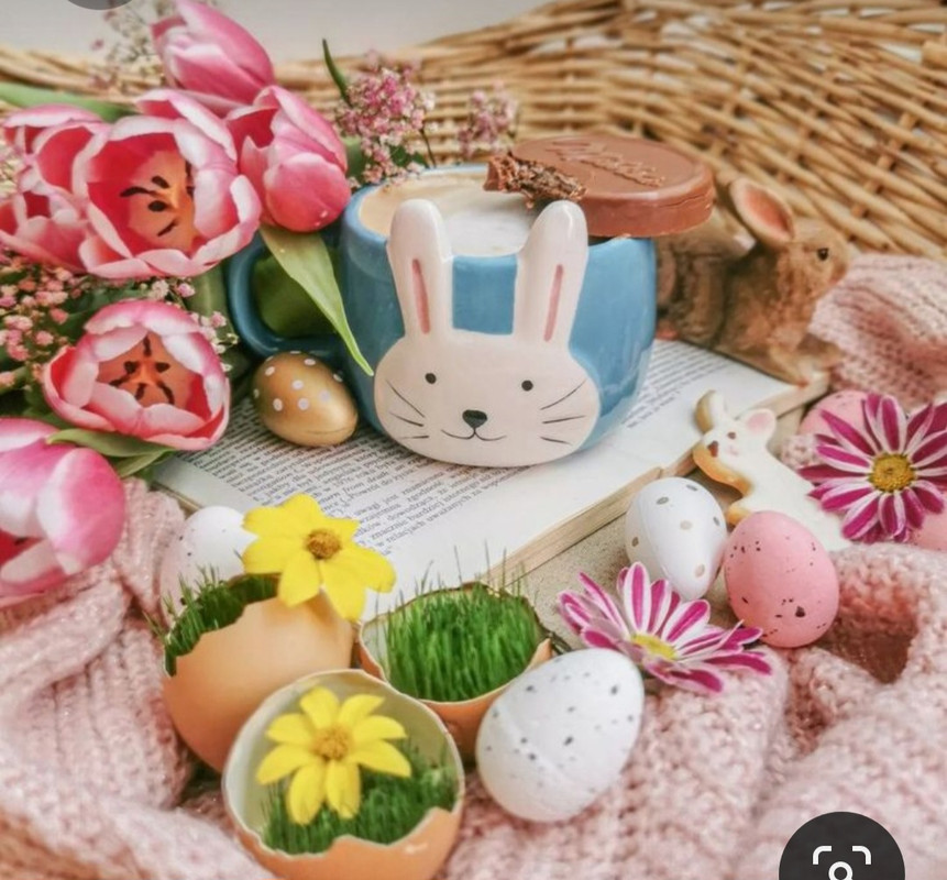 Screenshot_20230328_005302_Pinterest