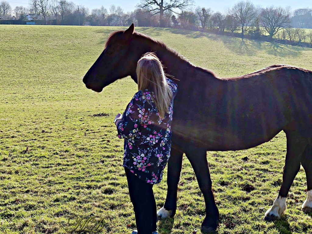 Me-and-Horse-field-HD.jpg