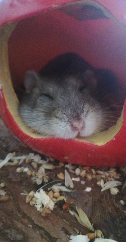 IMG_20200714_143210_857