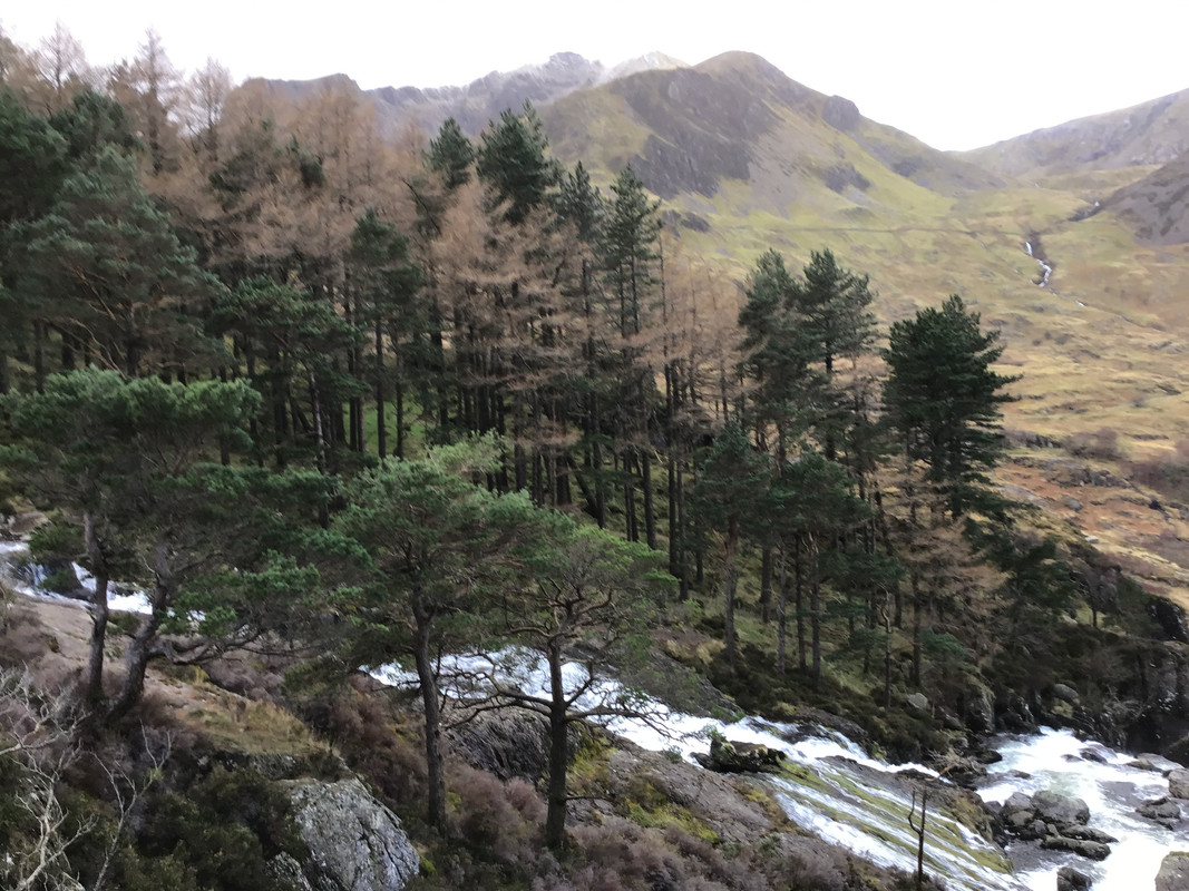 856187E8-AB8F-4BFC-9293-2C0BDF3051E6