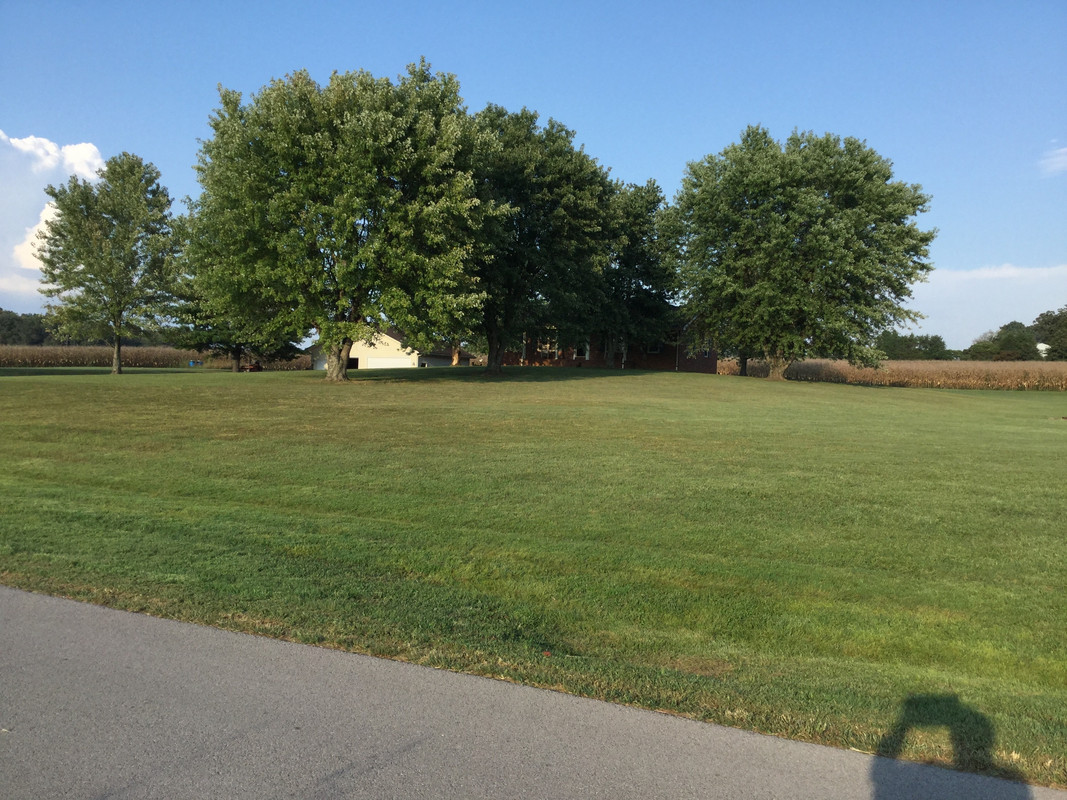 2FEAA254-7BDC-4B47-8A35-46194A353009