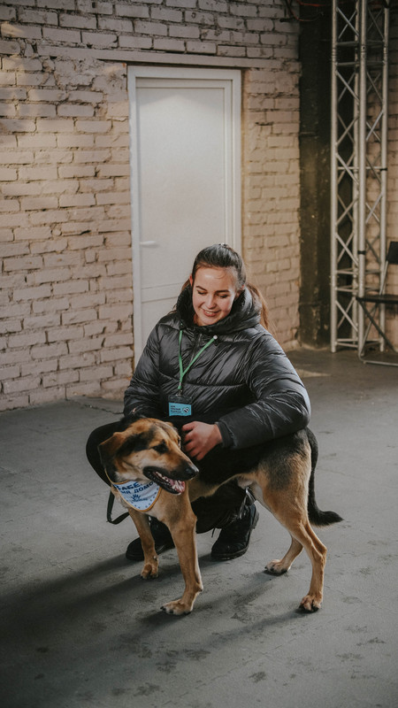 295191F5-22AF-4135-9BB7-D77FF63E993C