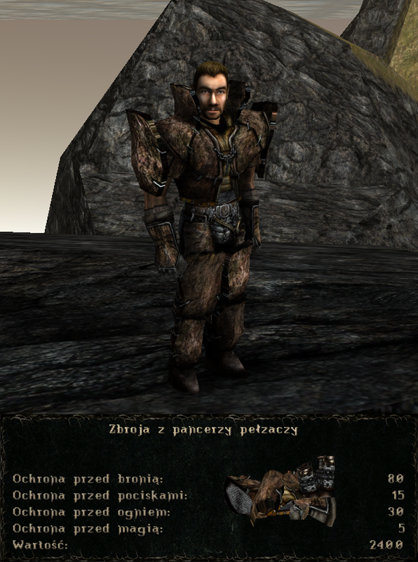 pancerze i ubrania (8)