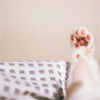 Icons-Neu-229