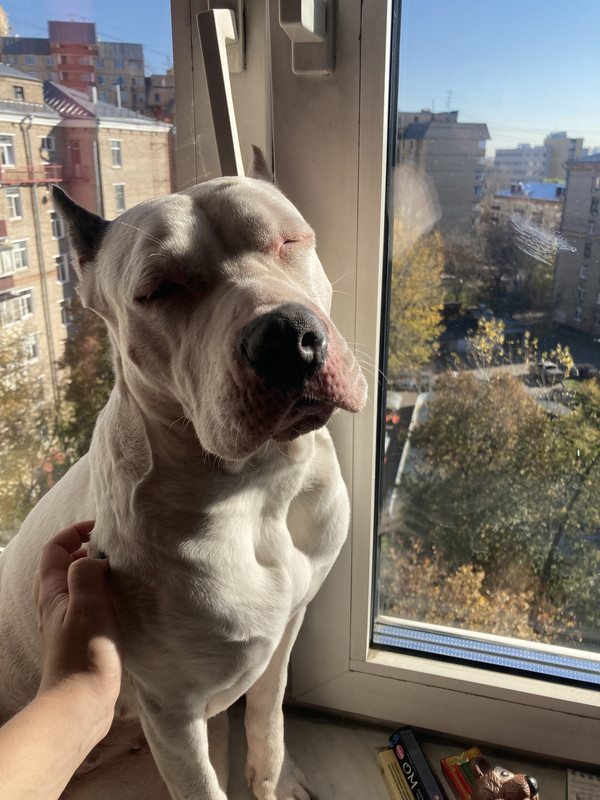 33997DE9-2B01-4220-BAAA-414E5E10A705