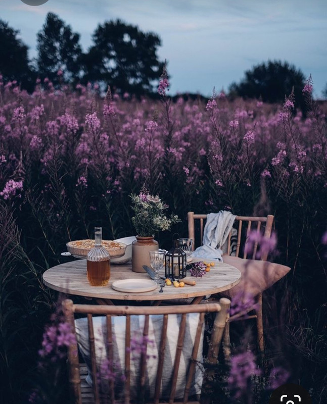 Screenshot_20230514_152215_Pinterest