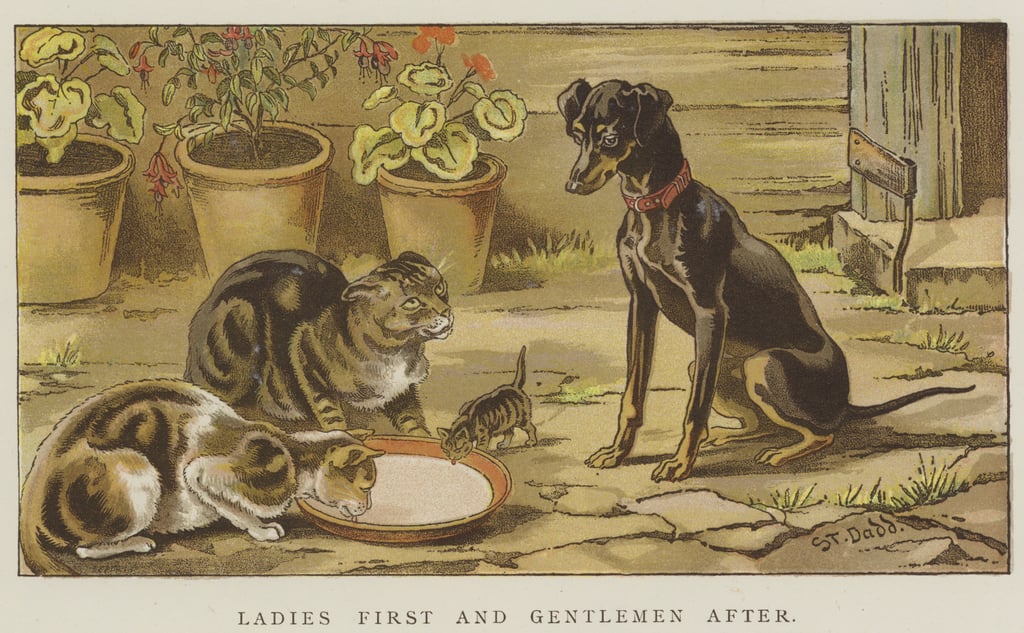ST-Dadd-Ladies-First-and-Gentlemen-After-chromolitho-Meister-Drucke-292551