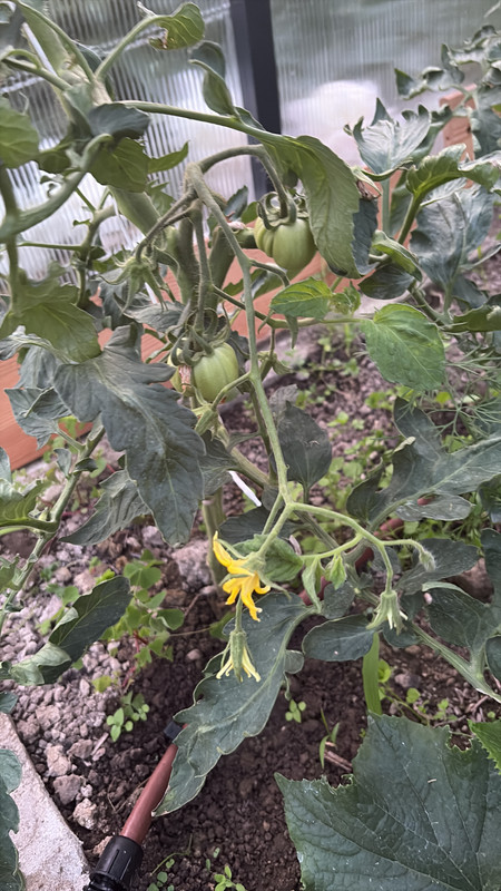 0D9D5211-DF59-44E9-B0E7-90C6892F908A