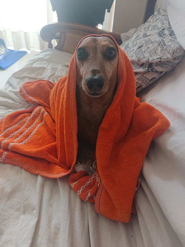 [Image: IMG-20240912-114614.jpg]