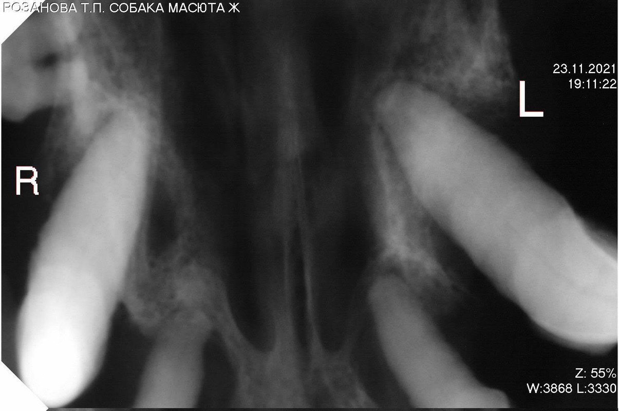 D30A5003-7BF4-492E-B918-41D2DC9A3DD0