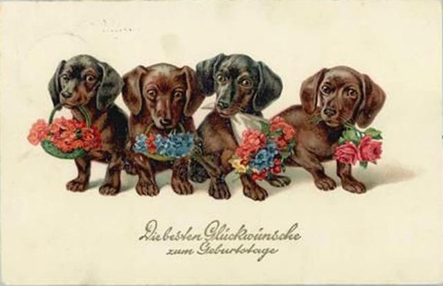 [Image: Anniversaire-teckel-(16).jpg]