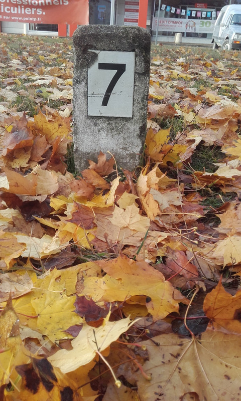 20161108_093320