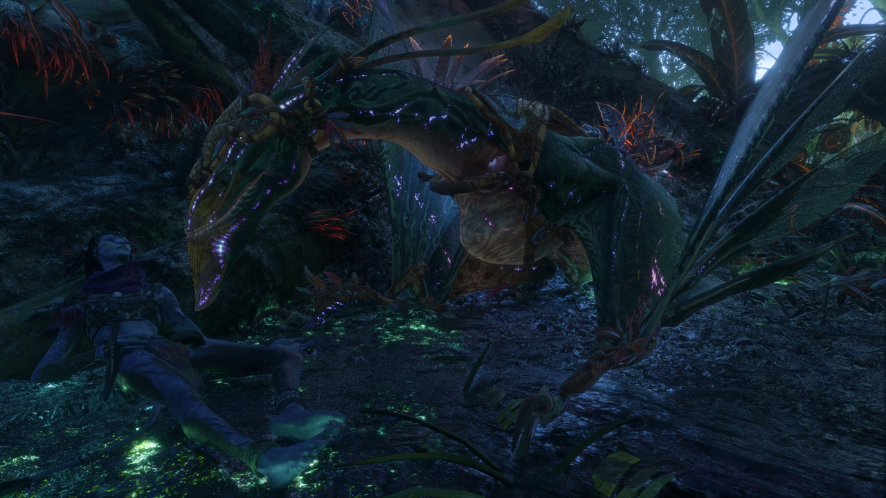 afop 2026 01 09 18 20 22 955