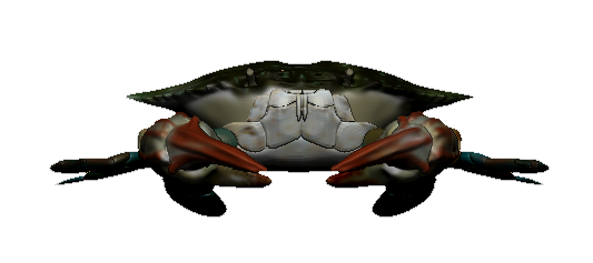 8d6b756d44514e4027c036abd2f5d85c