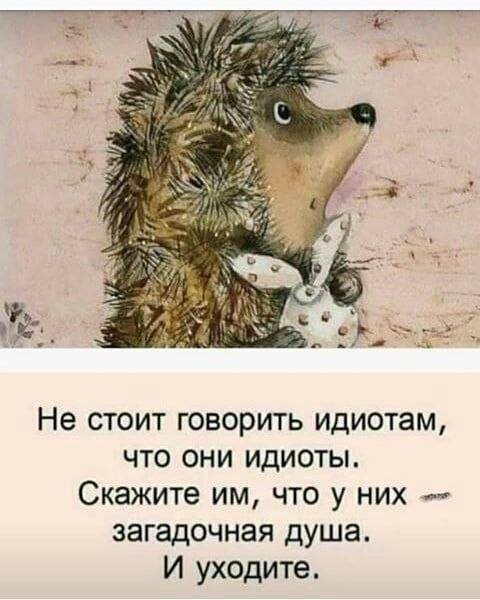 [Изображение: photo-2026-01-05-06-31-52.jpg]