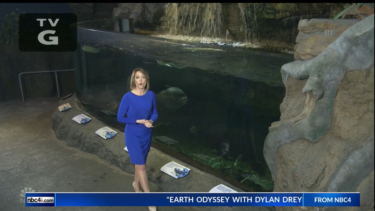 11.07 - 15.00.00 - Earth Odyssey With Dylan Dreyer. The world's smart....ts_snapshot_00.25.01.637
