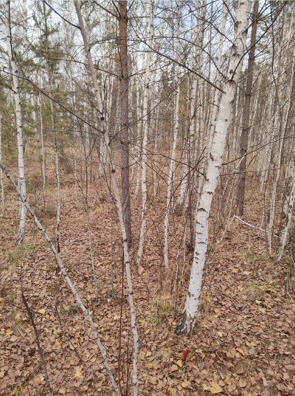 Screenshot 2025 10 28 12 43 42 86 2d8248a9161c11e8a62d8d213cb42513