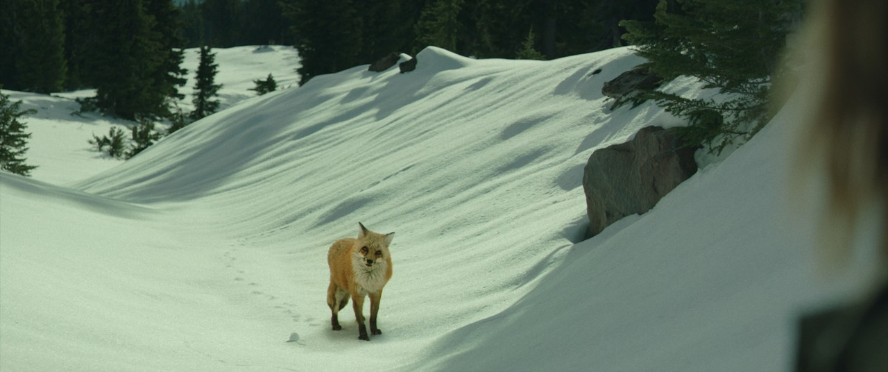 Wild (2014).mkv_snapshot_01.00.11_[2018.01.24_08.19.00]