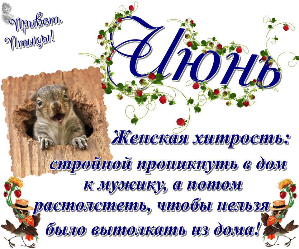 https://i.postimg.cc/XqpSs6XB/22-06.png