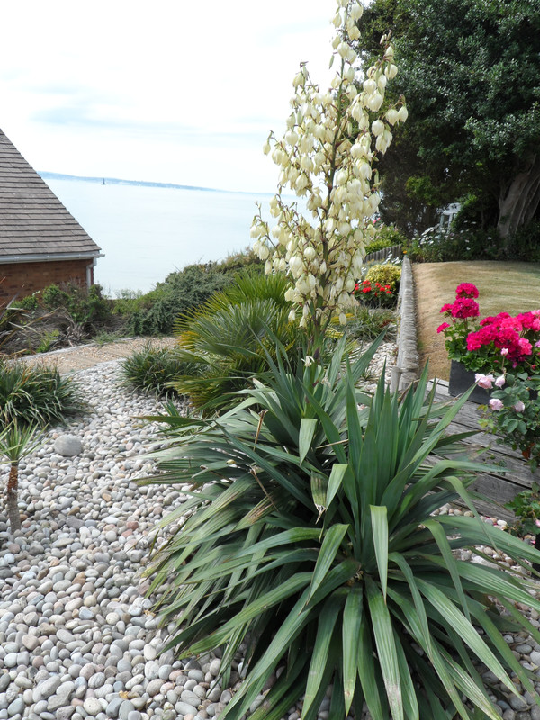 Neatly arranged garden border