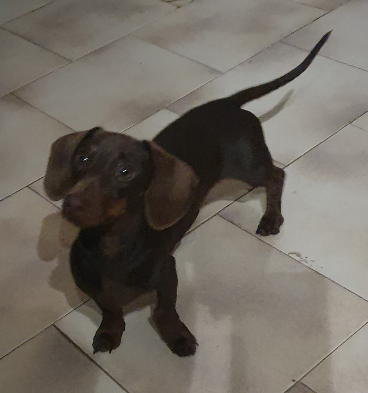 [Image: 20210430-211557.jpg]