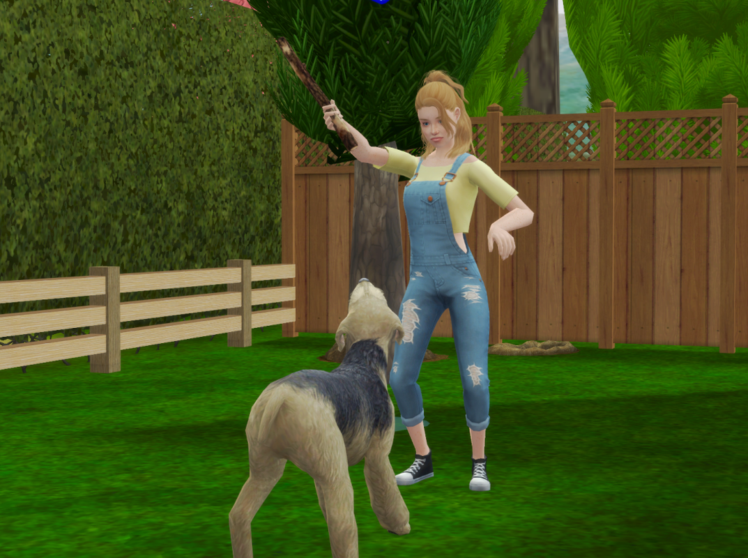 Sims2-EP9-RPC-2024-09-28-18-36-11-69