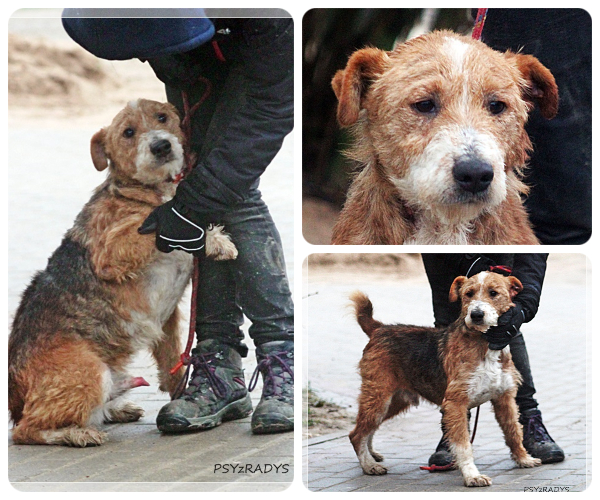 BeFunky-collage (19)