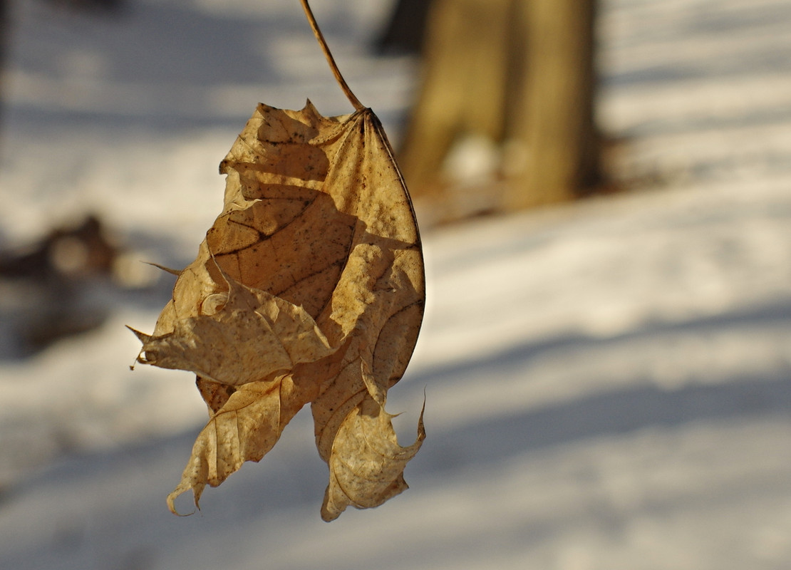 f8 01 — Postimages