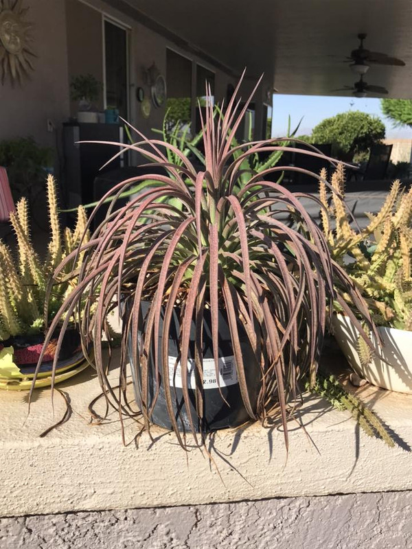 507975836_24307159455576325_9008622782573096141_n