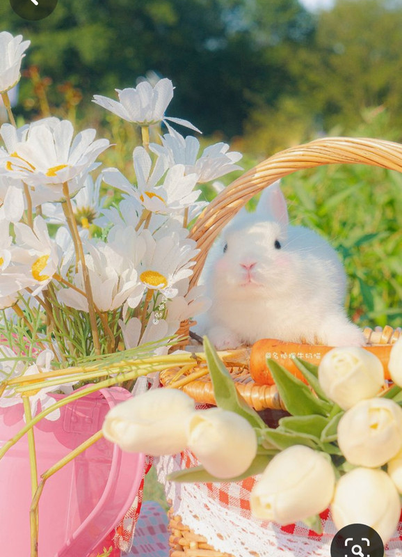 Screenshot_20240330_233408_Pinterest