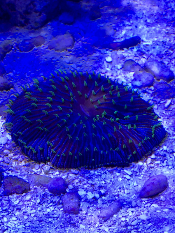 50FDC042-9F2E-4EA4-8C8E-170B15616F06