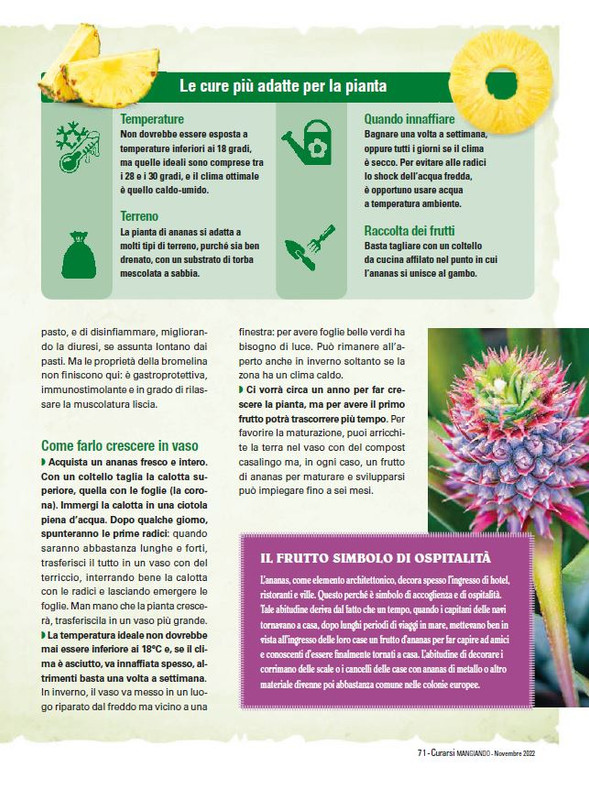 Cur Mang Nov 2022 (12)