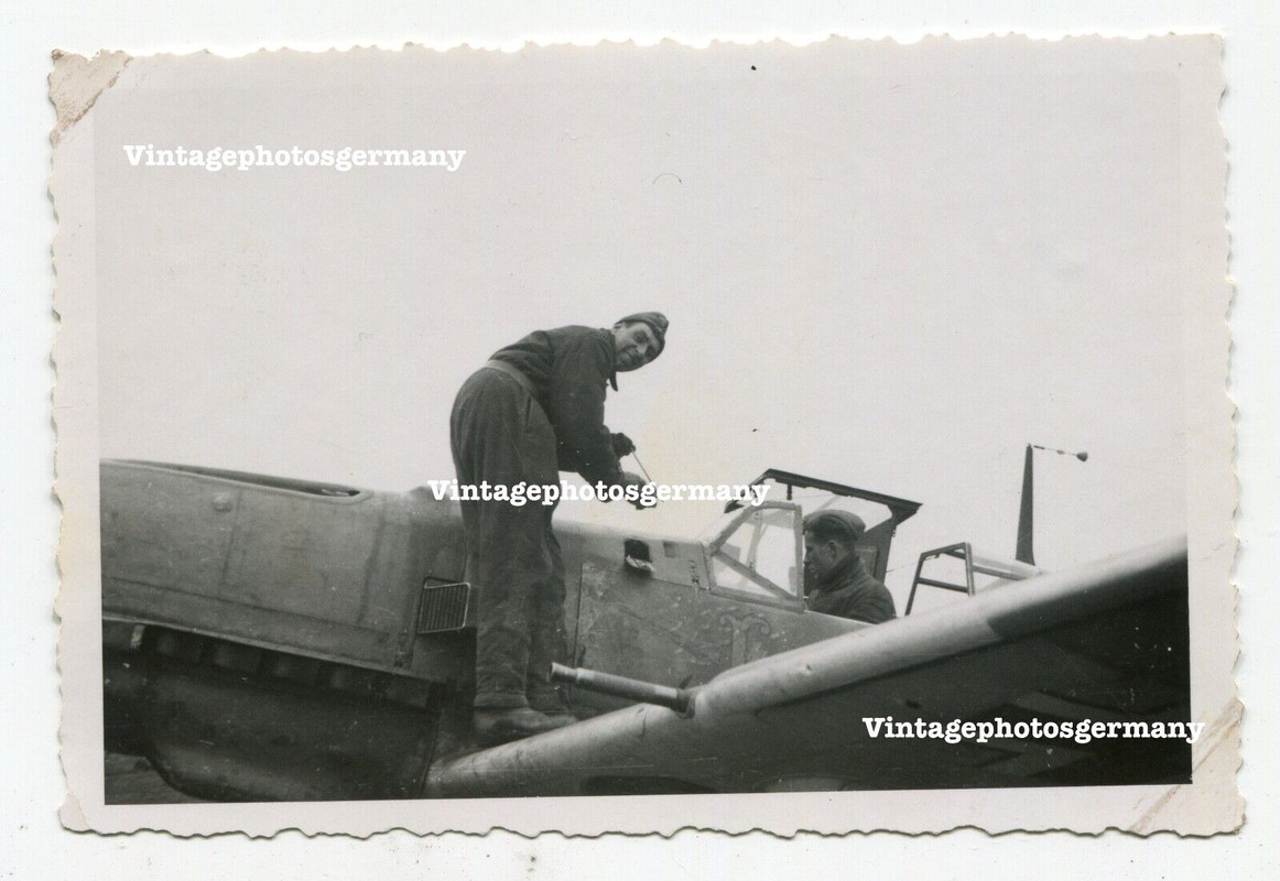 D1562 Foto deutsches Flugzeug Me109 Bf109 Staffelwappen Wappen Pilot ASS AS